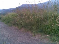 Located on a mountain top with a great view all around. Water and electricity to the land. Clear dee