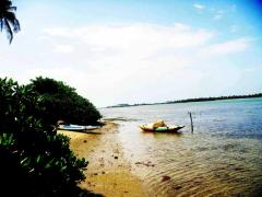 2.5 kite-surfing lagoon front land in Kalpitiya