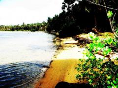 2.5 kite-surfing lagoon front land in Kalpitiya