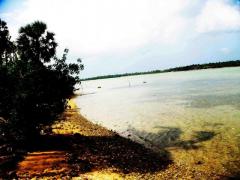 2.5 kite-surfing lagoon front land in Kalpitiya