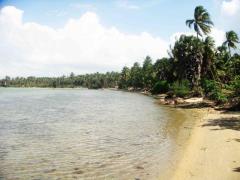 2.5 kite-surfing lagoon front land in Kalpitiya