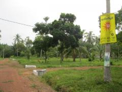 Prime Lands in Katunayake from Mansuwa Ulpatha