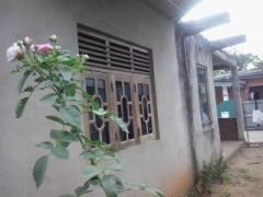 House for Sale in Wellampitiya