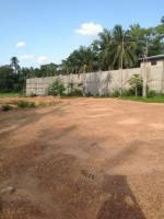 KELANIYA LAND FOR LEASE