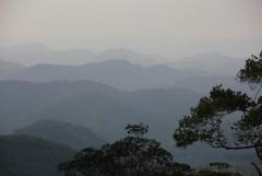 Tea and Rubber Estate in kitulgala