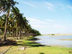 5 Acres Beach Front Land At Kalpitiya