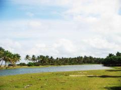 5 Acres Beach Front Land At Kalpitiya