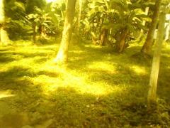 Land for sale in Kaduwela