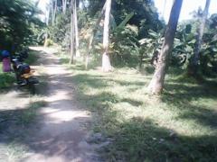 Land for sale in Kaduwela