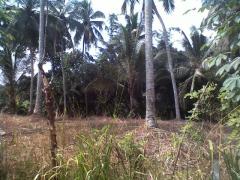 Bare land for sale urgent, in Mawanella flat land.