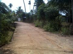 Bare land for sale urgent, in Mawanella flat land.