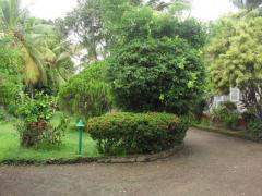 64 P Commercial Land for Sale - Panadura (45m to Galle Rd)