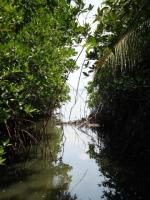 Negambo Lagoon Frontage