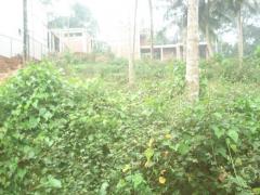 Land for sale in Amunugama