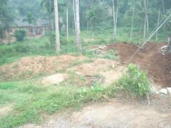 Land for sale in Amunugama