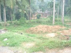 Land for sale in Amunugama