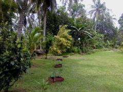 Gampaha Municipal Limit land for sale