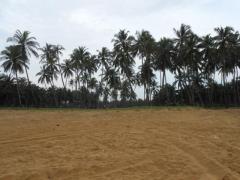 Oceanfront Land ideal for Tourism