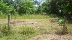 Land Sale in Kirillawala