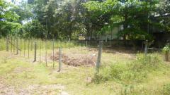 Land Sale in Kirillawala