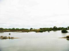 10 Acres Lagoon Front Land For Sale At Kalpitiya.