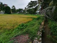 Beautiful house & land for sale in Thalawathugoda