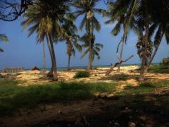 109 Perches Beach Land In Kalpitiya