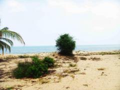 109 Perches Beach Land In Kalpitiya