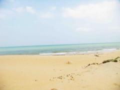 109 Perches Beach Land In Kalpitiya