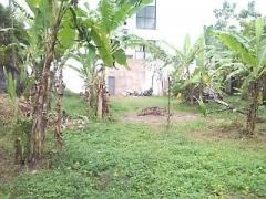 2 Plots for sale in Udahamulla