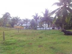 Bollegala Land for Sale