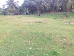 Bollegala Land for Sale