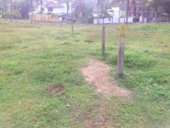 Bollegala Land for Sale