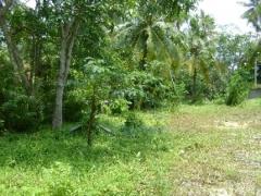 Land in Mathugama. Close to High way Entrance , School , Hospital & Government office