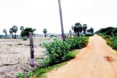 land for sale at Pesalai in Mannar