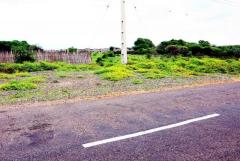 land for sale at Pesalai in Mannar