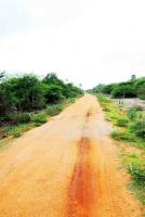 land for sale at Pesalai in Mannar